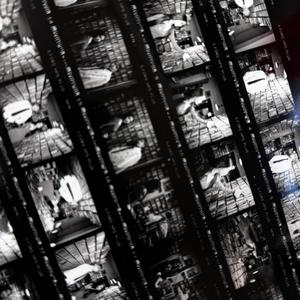 免费看成人婬A片AAA毛图片
