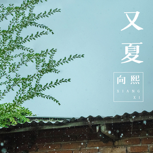 免费看成人婬A片AAA毛图片
