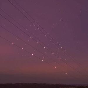 免费看成人婬A片AAA毛图片
