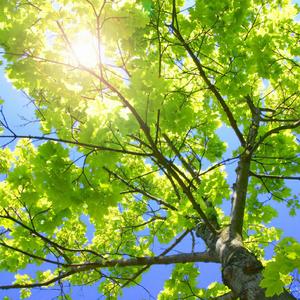 免费看成人婬A片AAA毛图片
